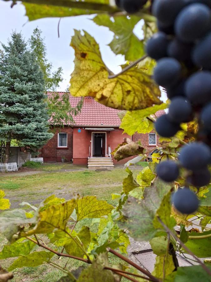 Gospodarstwo agroturystyczne Przy Maja Milicz